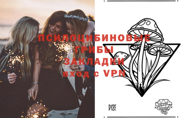 амф Алзамай