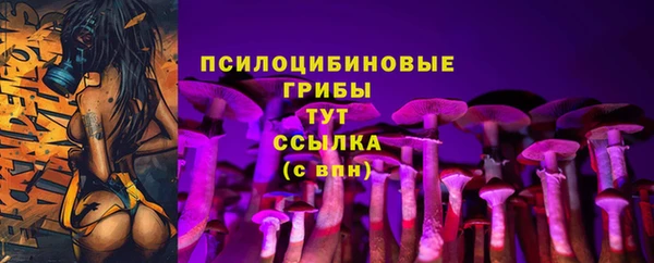 ALPHA-PVP Алексин