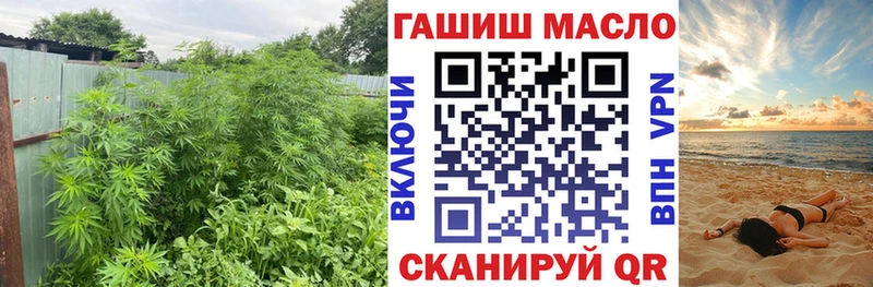 где можно купить   Яровое  Дистиллят ТГК Wax 